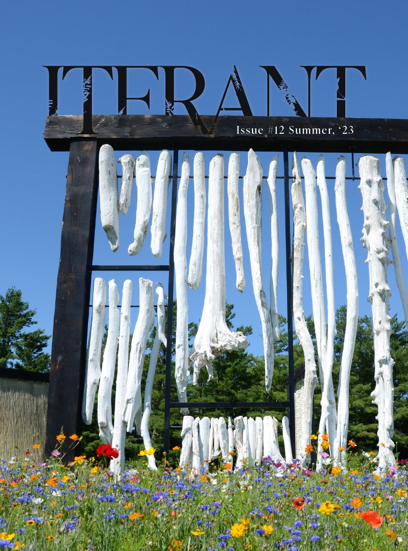ITERANT #12 is live! Visit us at ITERANT.ORG for audio, print editions, or to read online.