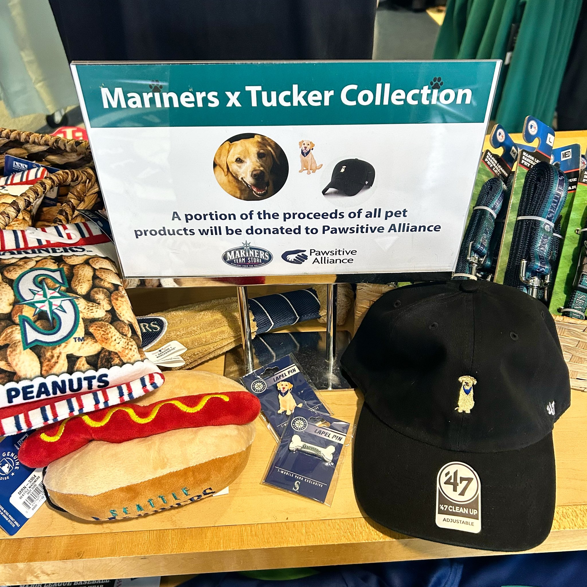 Tucker the Mariners Pup on Twitter: Go Mariners!   / Twitter