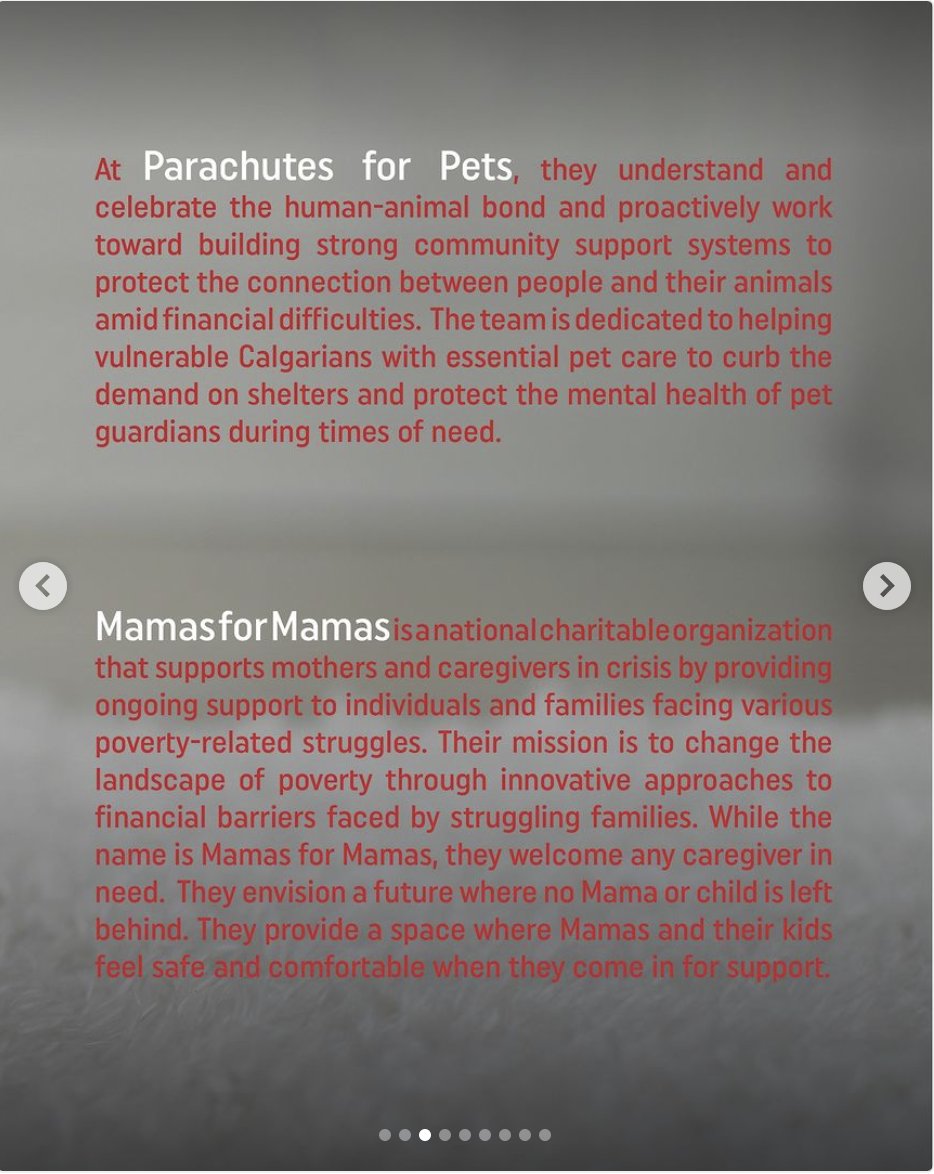 crueltyfreesyd's tweet photo. Hey #YYC check this out; so many ways to support a couple of wonderful local causes. Live Auction and raffle items. F1 experience 🏁, Bruce Springsteen Concert evening, SF. 49ers tickets and experience and more.#yyc #calgarylife #parachutesforpets #mamasformamas https://t.co/JEpa7eh802