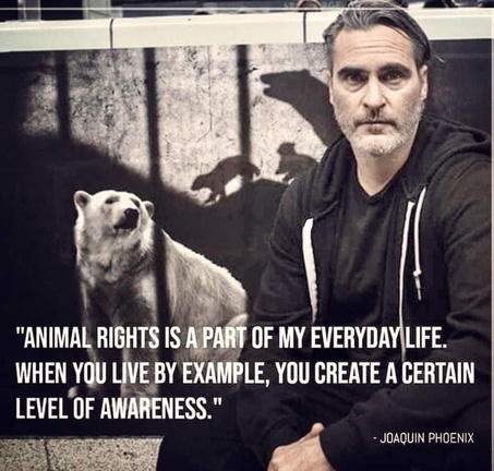 veganfuture's tweet photo. https://t.co/HeZoCKuDdw