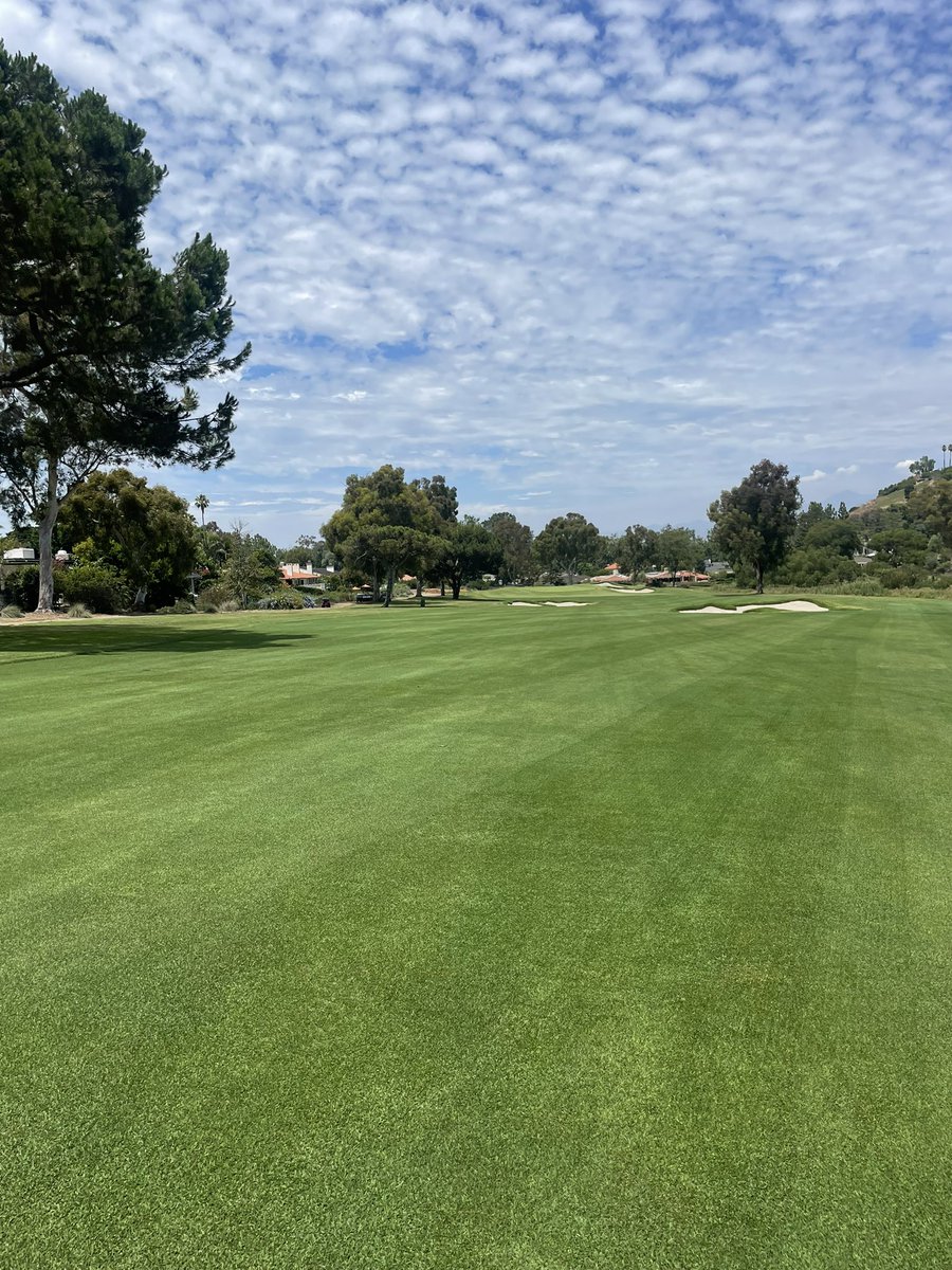 Fairways were looking mint at El Niguel this afternoon. Some great golf conditions here in Orange County. <a href="/fitzhugh_joe/">Joe Fitzhugh</a>