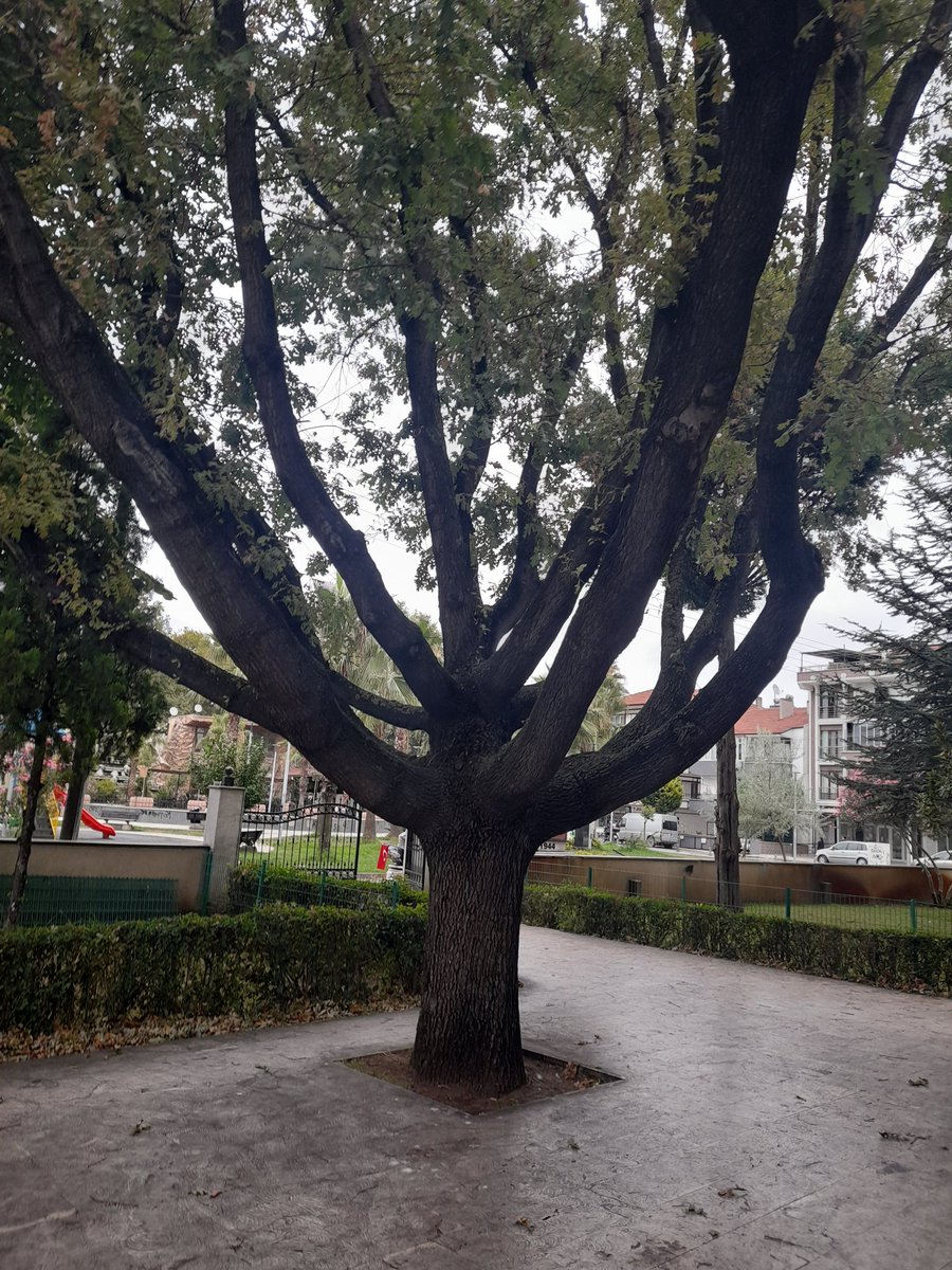 " İŞİ EHLİNE VERİN "  
Hayr'lı geceler