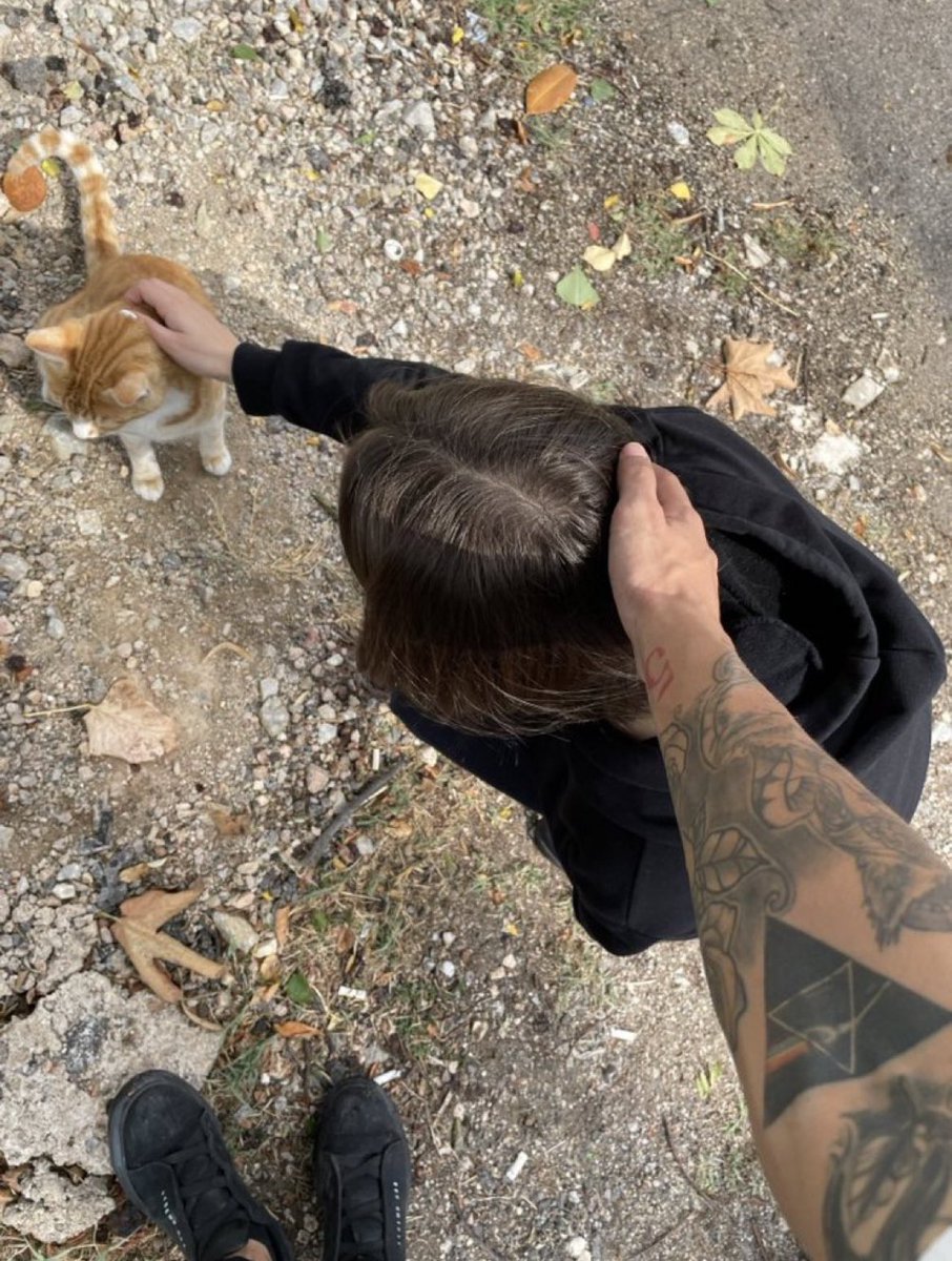 dark (@qa69qa) on Twitter photo 