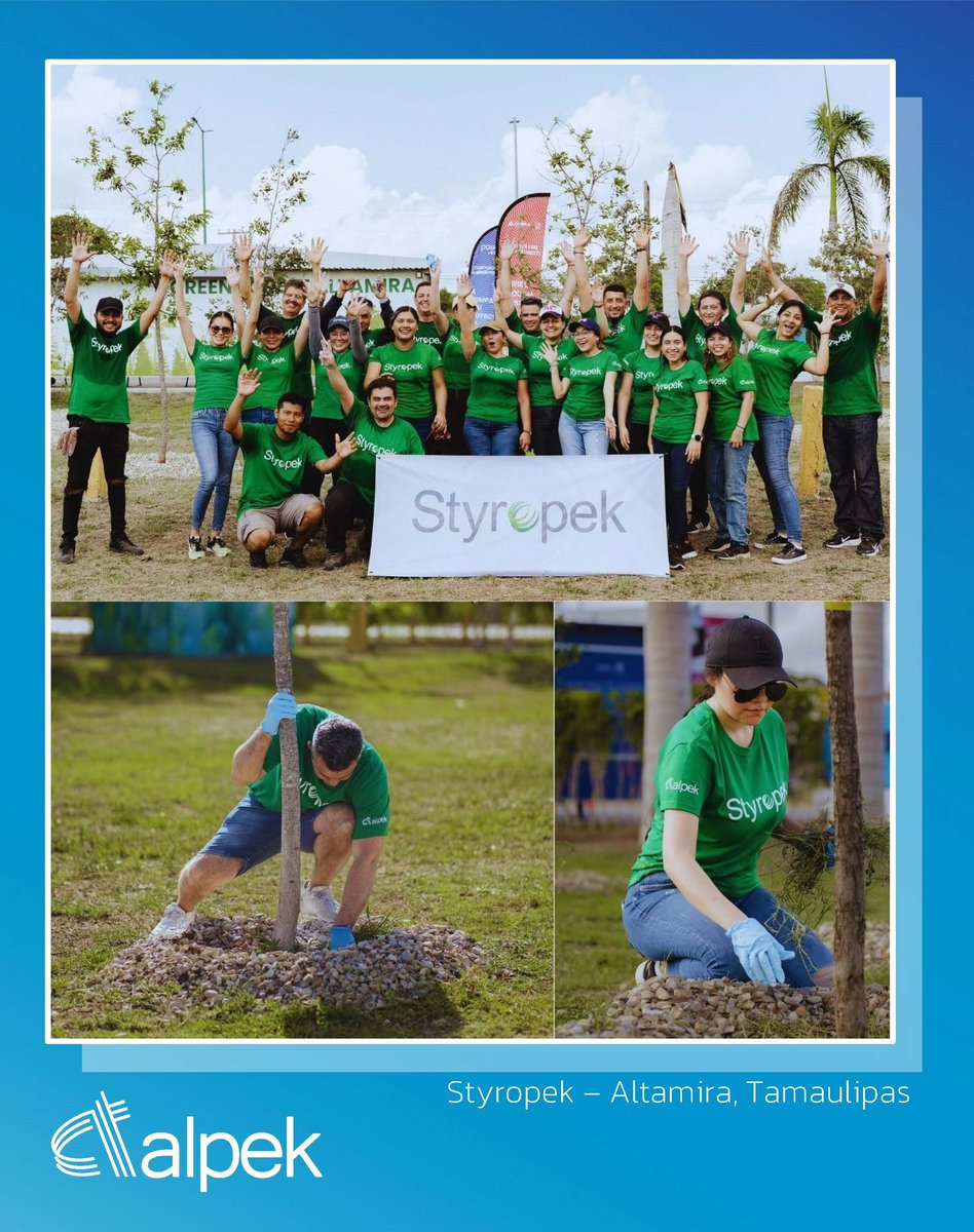 AlpekOfficial's tweet photo. As part of the Green Forest Project in Altamira, Styropek volunteers cleared ~1.5 tons of organic residue and installed rain harvest systems so that 500+ trees will thrive. 

Alpek remains dedicated to its communities and sustainability. 🌱🌳 

#UNSDG #ClimateAction https://t.co/csR44djfEF
