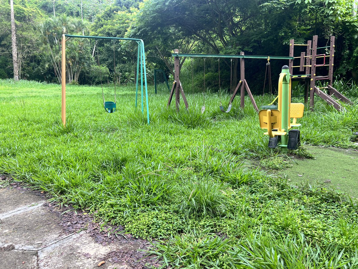 rosaftenis's tweet image. @DavidUzcategui @darwingonzalezp @fospuca @LaAlamedaCalleB Por favor señores SOLICITAMOS EL DESMALEZAMIENTO  del Parque de la Calle B de la urbanización La Alameda, Baruta . Niños en peligro .