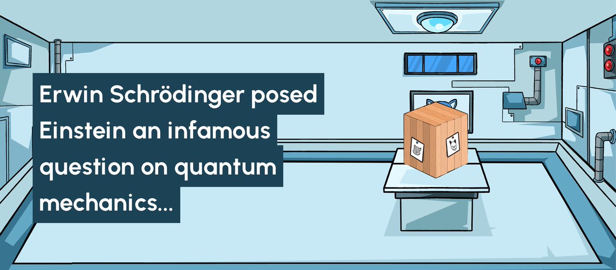 🥼📦?💀:😻 - Schrodinger's Crypto Cats tweet media