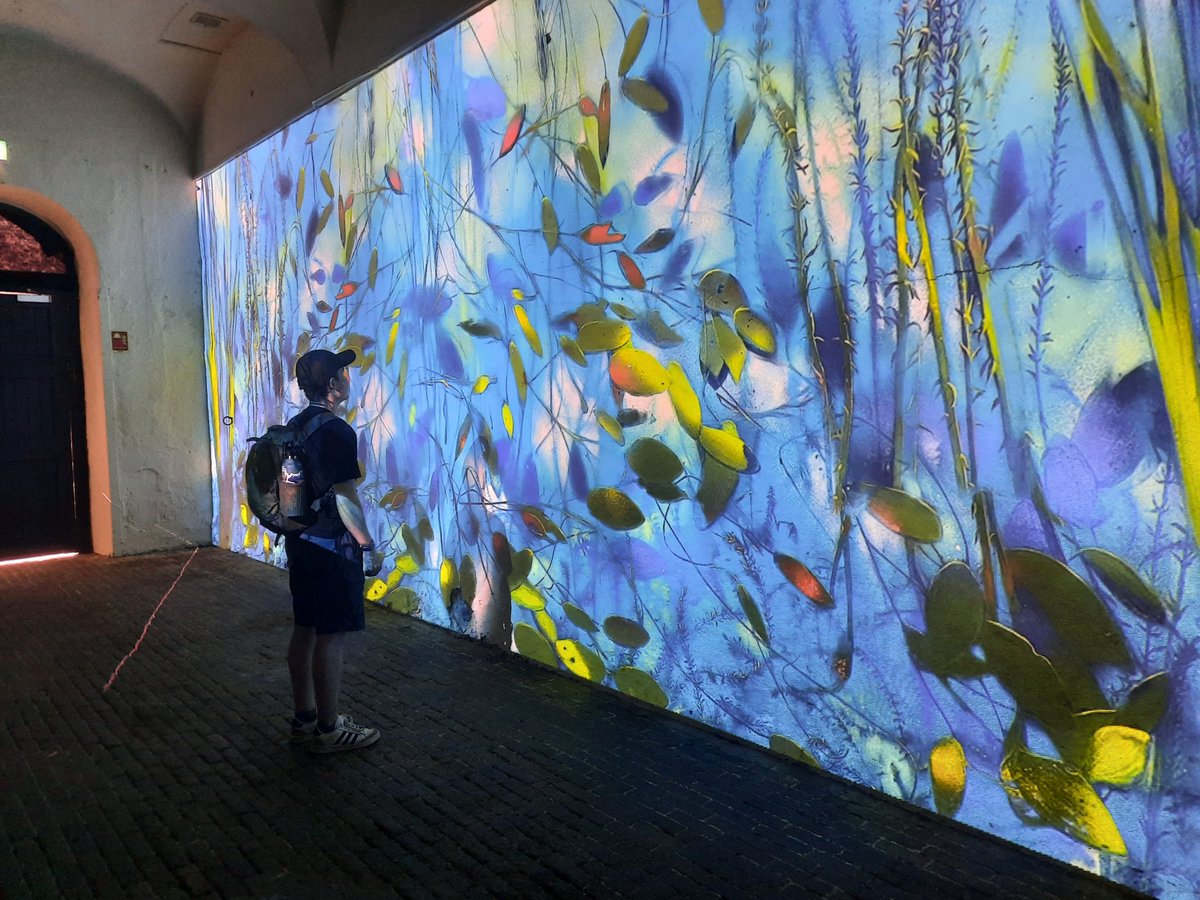 The Peatlands 🌱🐛🐞🦋🌱 tweet media