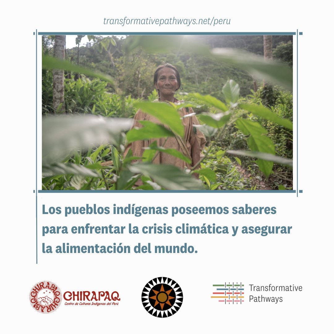 chirapaqoficial's tweet photo. 🌱 En el día de los #PueblosIndígenas, resaltamos la invaluable labor de nuestras hermanas y hermanos del Ande y la Amazonía para proteger la #biodiversidad y asegurar la alimentación del planeta🌽. https://t.co/iPX3SFiSy5