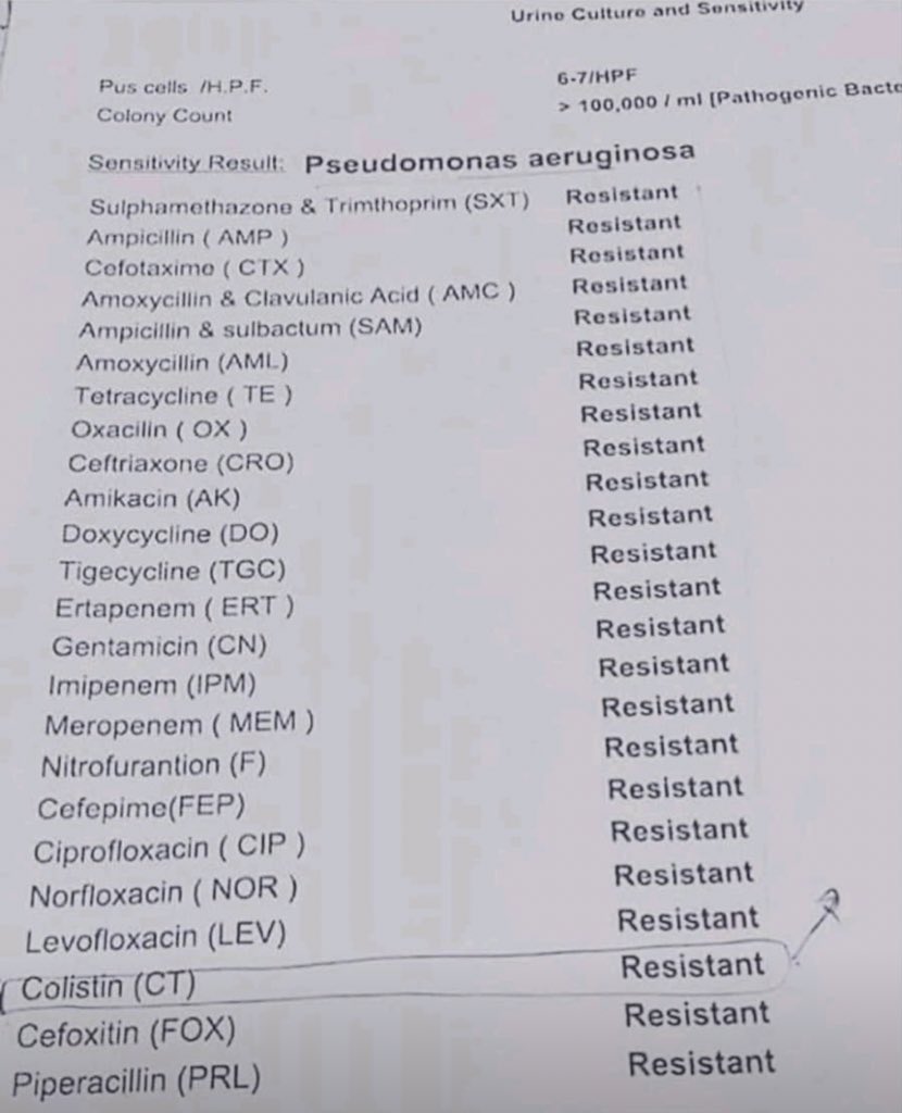 DoctorCihan's tweet photo. ‘Antibiyotik yazdırmaya gelmiştik hocam!’ın kültür sonucu. Buyrun ne verelim ablama? https://t.co/1GinjlUGbk