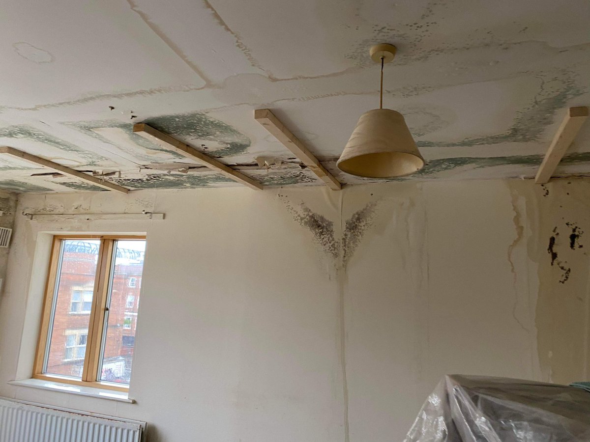 Christina Riley LGBT Construct tweet media