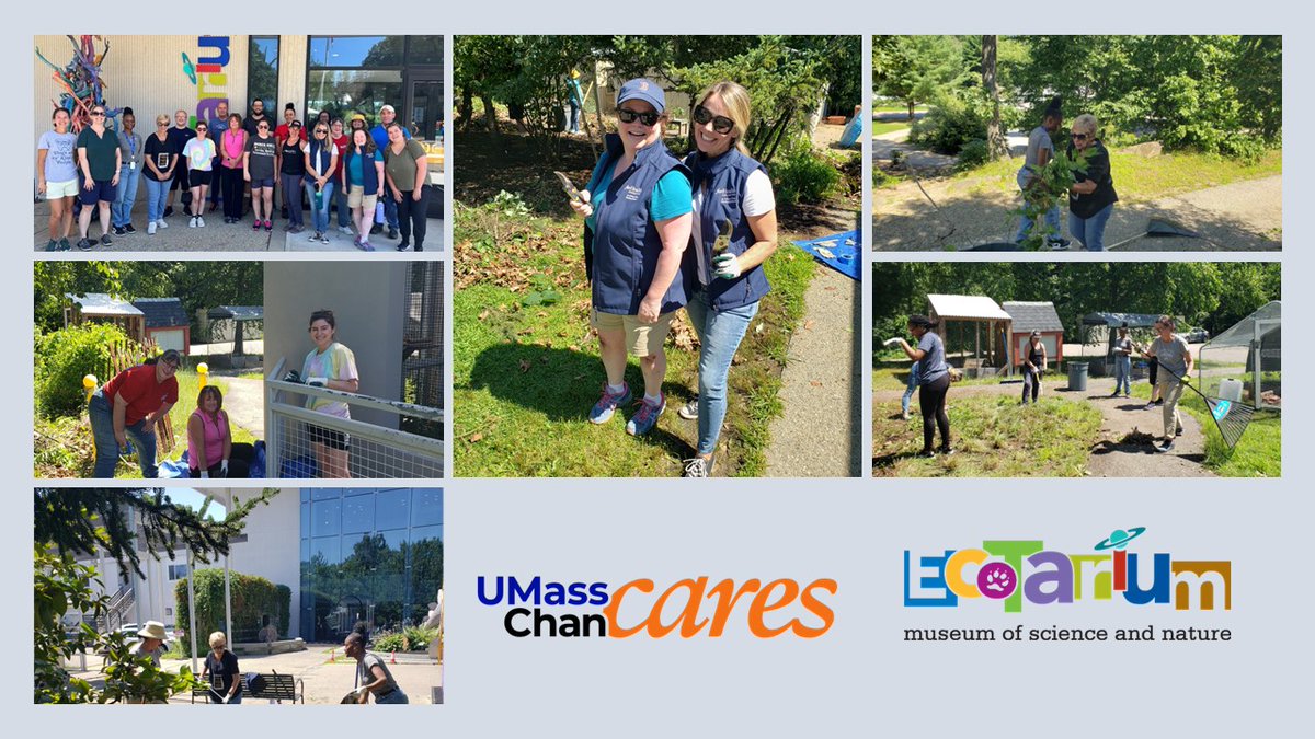 UMass Chan – Community & Government Relations (@umass_chan_ocgr) on Twitter photo Nineteen <a href="/UMassChan/">UMass Chan Medical School</a> employees recently volunteered at the <a href="/EcoTarium/">EcoTarium</a> to help beautify the grounds as part of our #UMassChanCares volunteer initiative <a href="/ForHealthCnsltg/">ForHealth Consulting at UMass Chan</a> <a href="/UMassPsychiatry/">UMass Psychiatry and Behavioral Sciences</a> @umassgsn #WhyUMassChan Nineteen <a href="/UMassChan/">UMass Chan Medical School</a> employees recently volunteered at the <a href="/EcoTarium/">EcoTarium</a> to help beautify the grounds as part of our #UMassChanCares volunteer initiative <a href="/ForHealthCnsltg/">ForHealth Consulting at UMass Chan</a> <a href="/UMassPsychiatry/">UMass Psychiatry and Behavioral Sciences</a> @umassgsn #WhyUMassChan