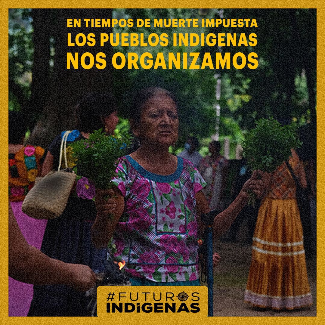 Las voces de pueblos que por miles de años hemos defendido la vida en la tierra tenemos una esperanza para compartir: las alternativas a la crisis climática ya existen, están vivas en nuestros territorios, pero nos están exterminando. #DiaInternacionaldelosPueblosIndigenas