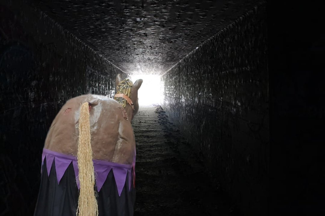 🤩 Començo a veure la llum al final del túnel! Però necessito una última ajuda!

Portem 1720€ i hem d'arribar als 2000! 

M'ajudes? Va que queden 3 dies!
totsuma.cat/projecte/2051/…

#MulassaOptimista #Terrassa