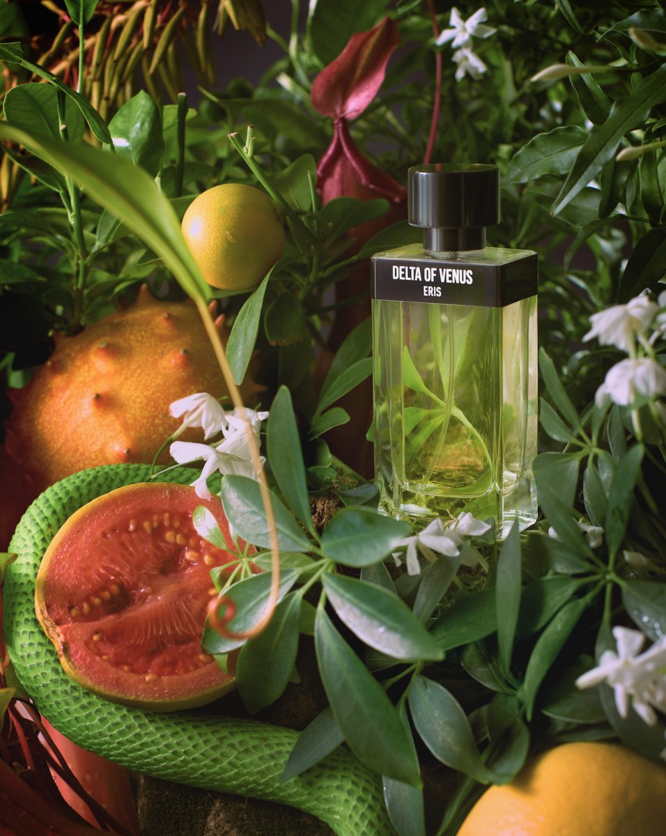 🌺 Discover ERIS PARFUMS by Barbara Herman, a blend of history and scent. #ErisParfums #VintagePerfume #ScentJourney 

Check out our latest story for more details! 🌼
westfaironline.com/exclusives/the…