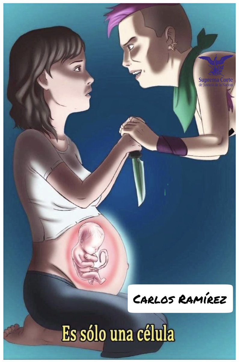 CarlRamirezA's tweet photo. La Suprema Corte de Justicia de la Nación en México (@SCJN), busca NUEVAMENTE emitir un criterio para desconocer el DERECHO A LA VIDA.

Se les olvida que NINGÚN derecho se puede ejercer si violenta la esfera jurídica de un tercero. El ser humano en gestación tiene VIDA…tiene DERECHOS.

#AgsEsProVida