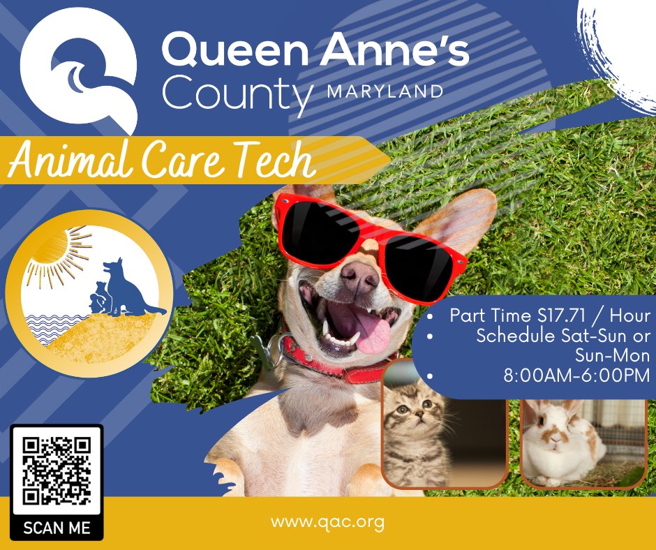 QACAnimals's tweet photo. Job Opening - Animal Care Technician 
Part-Time, Contractual, Shift: 8:00 AM - 6:00 PM
Rate of Pay: $17.71 - Hour
Closes On: August 22, 2023 at 4:30 pm, EOE
 Details:  This position can work either Saturday/Sunday or Sunday/Monday.

To apply: https://t.co/5u4fmAioHg https://t.co/MJ9lpRvqyt