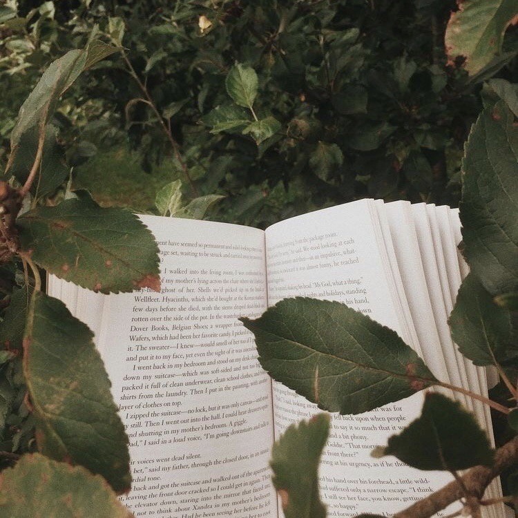 peacozy's tweet image. 