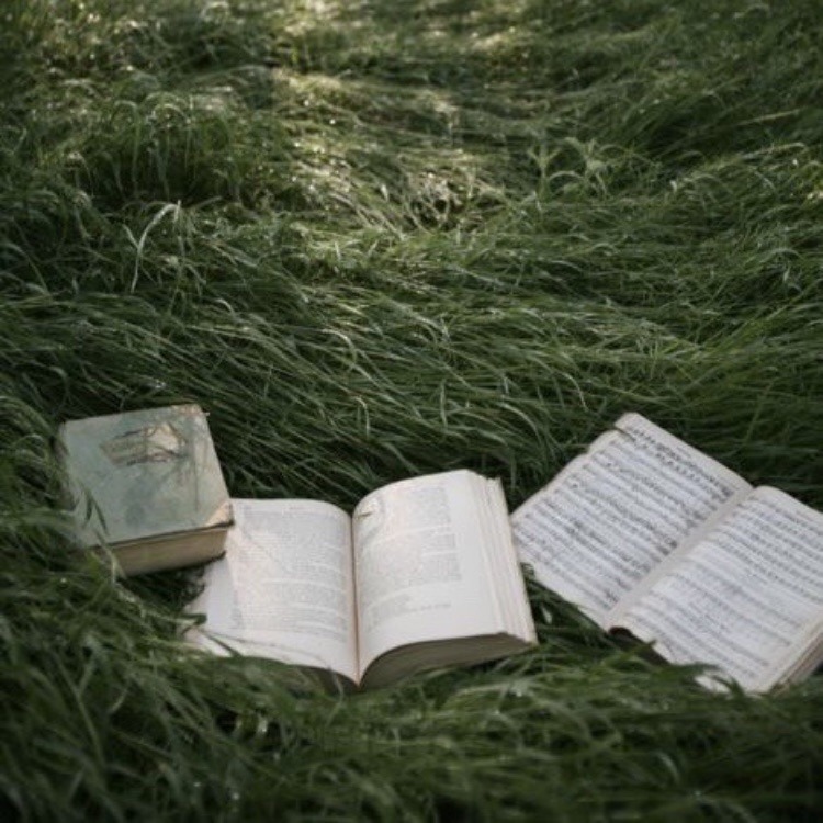 peacozy's tweet image. 