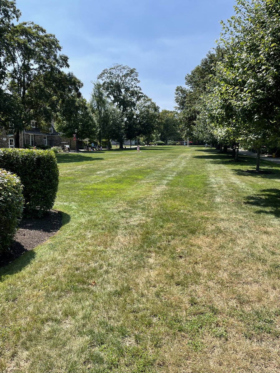 mike smith tweet media