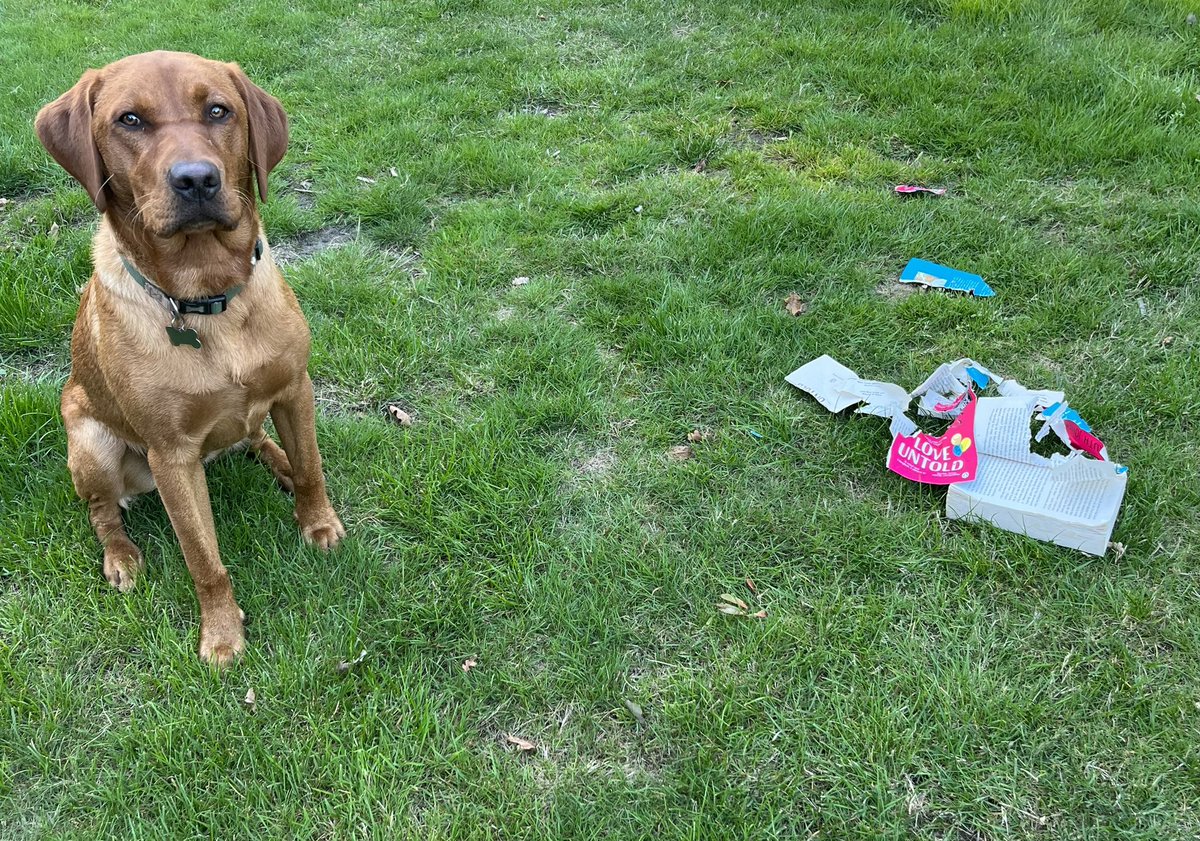 RodwellSam's tweet image. Slightly harsh book review. No remorse shown. 
#RuthJones