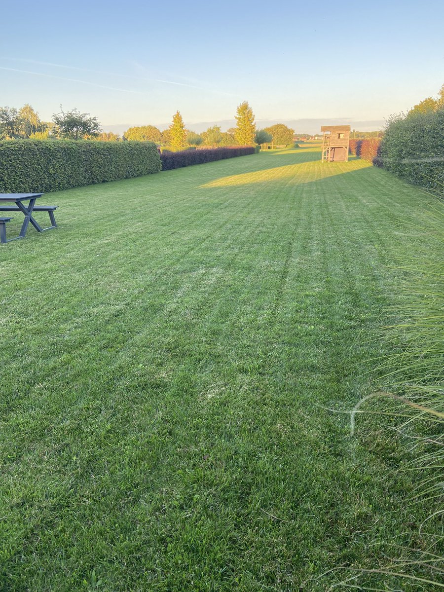 KarlBoumans's tweet photo. Een productieve dag op kantoor @OpenBedrijven #voka #vlaio #trends #vrt1 #radio2 #lijncom #ing #thinkpink #dezondag
…een productieve avond in de tuin 💪🏻 https://t.co/O8LgyXmu5Q