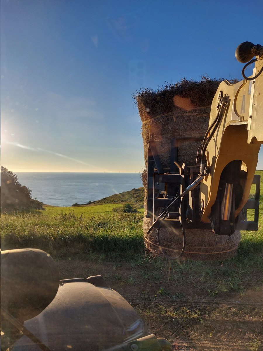 DeLefe14's tweet photo. On a pas encore moissonné mais qu'est ce que la vue est belle 🤩🤩
#paysdecaux
#lin
#agriculture
#enfinlete https://t.co/qwpjB9JgbF