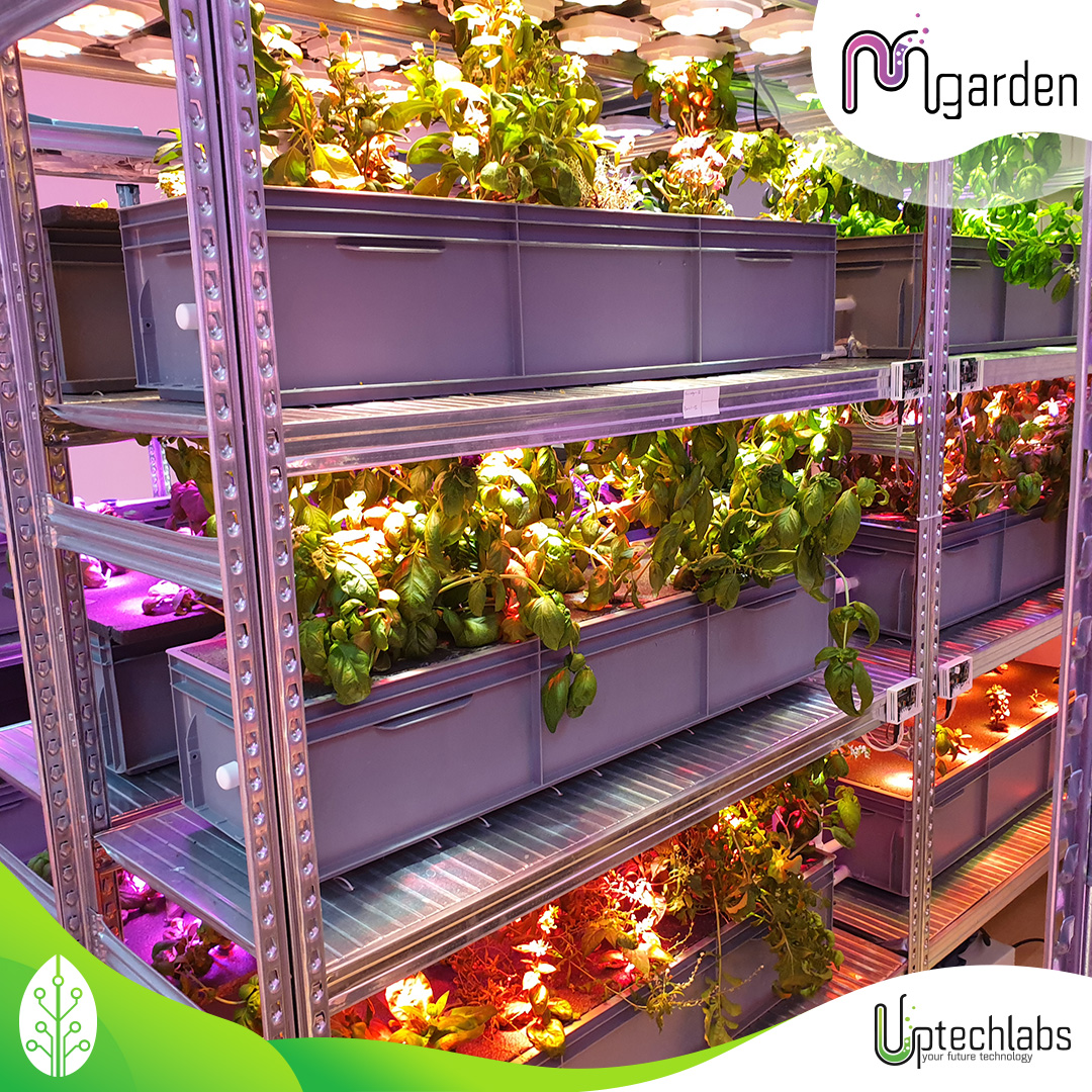 Uptechlabs tweet media