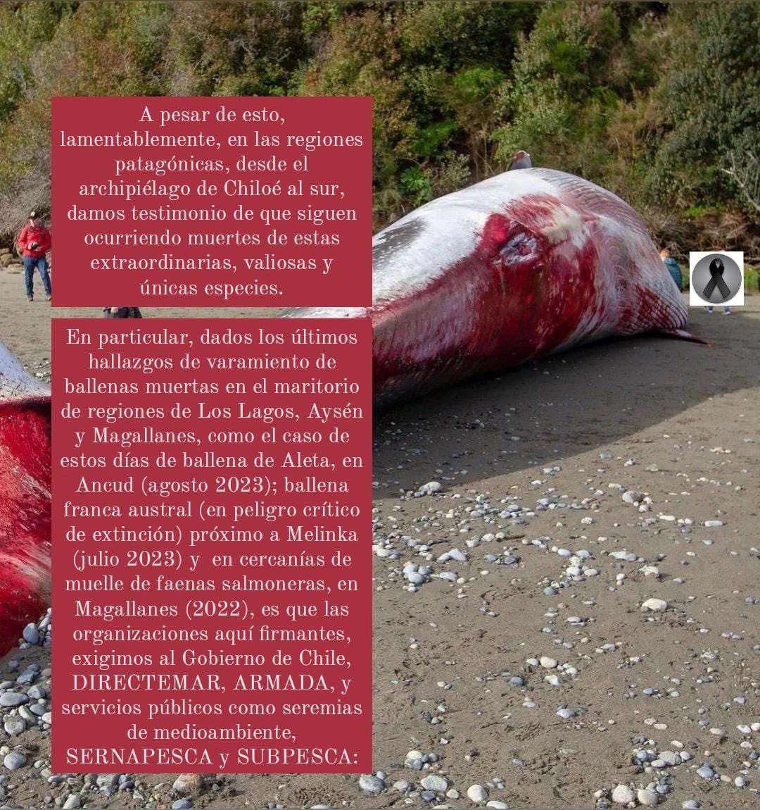 ❗️Defendamos Patagonia❗️ tweet media