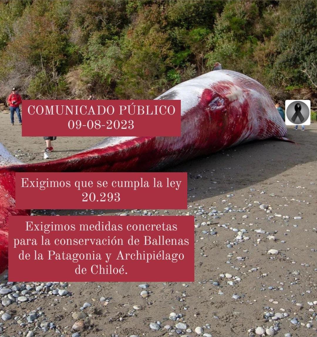 ❗️Defendamos Patagonia❗️ tweet media