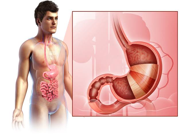 rwcuganda's tweet photo. Heres something quite interesting..☺️🙂..The stomach is a J shaped organ located in the upper abdomen on the left side of your body. It can be compared to the size of your hand fist. ✊🤯 #HealthTips
#BodyWellness #wednesdaythought
📸 Credits: https://t.co/b0xBBEQvLV https://t.co/076tPGMGZ8