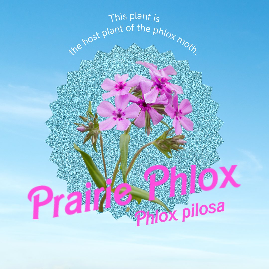 Before summer ends, check out these plants at a garden, park, or nature preserve near you! #Barbie