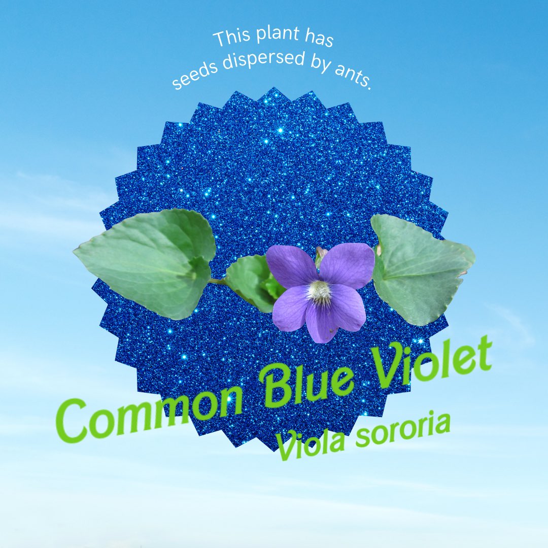 Be sure to make some observations using the Budburst app! Budburst.org #Barbie