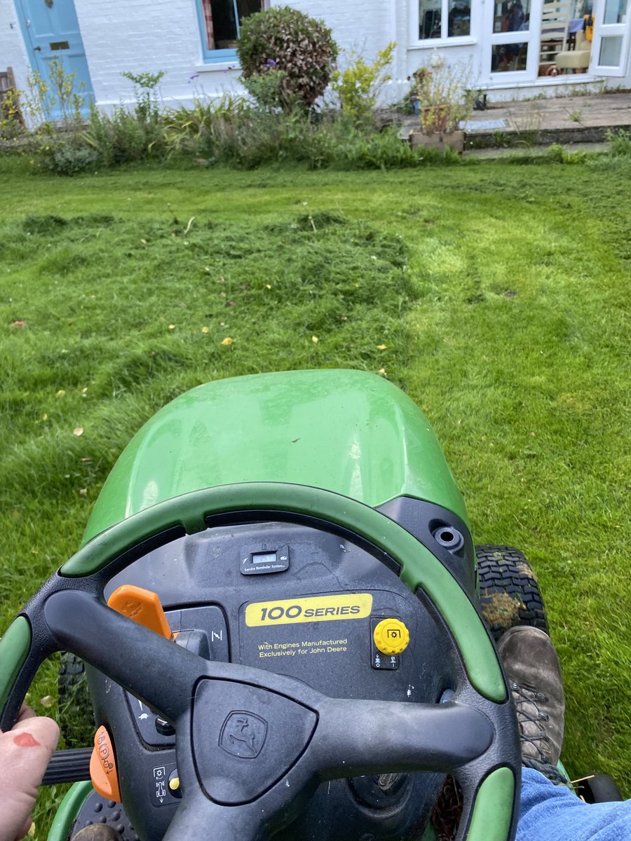 Determined to cut something today! Good crop too!