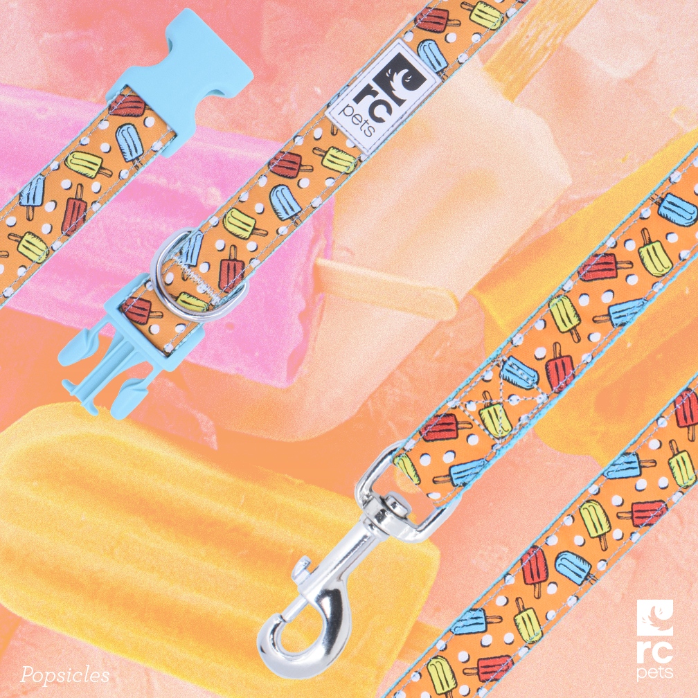 Check out this refreshing and oh-so-cool popsicle-patterned dog collar and leash! 🐶 ⁠
⁠
Did you know? Pet guardians have been choosing our collars and leashes for their fur buddies for over 20 years! ⁠
⁠
Shop now at l8r.it/eaPW 🛍️
⁠
#makeeverydayatreat⁠