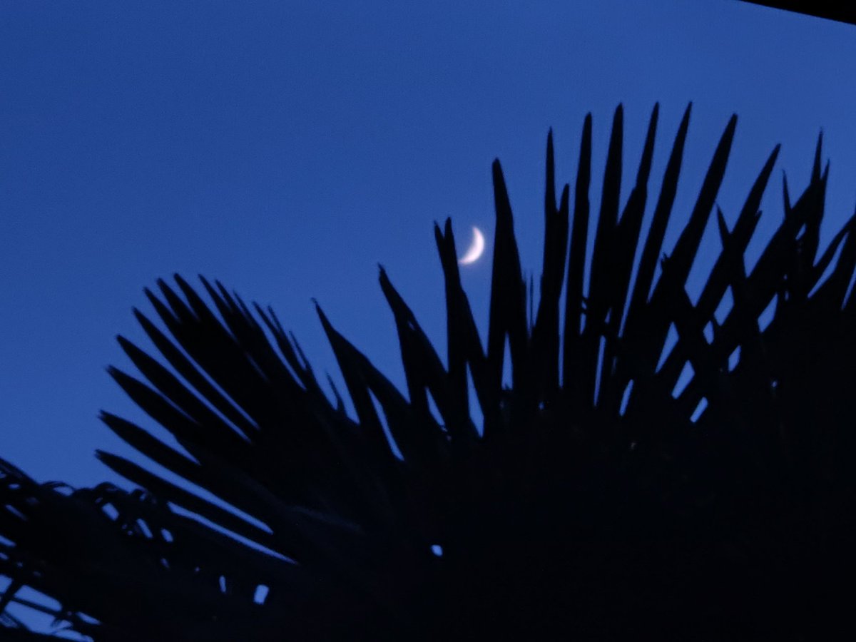 KuCoin_de tweet media