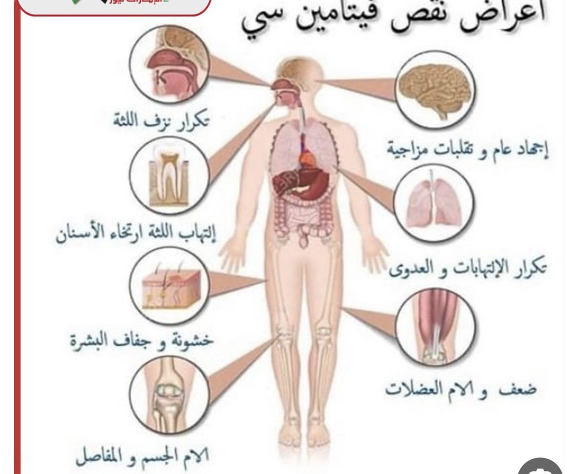 حرب العائش 🇸🇦🇰🇼 (@harb198533) on Twitter photo 