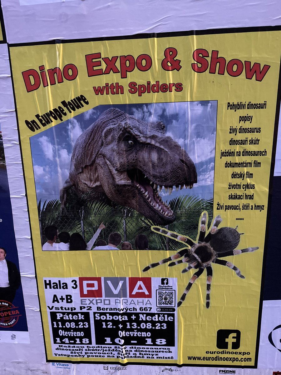 Asi zajdu…TRexové mě vždy bavili 🦖💚