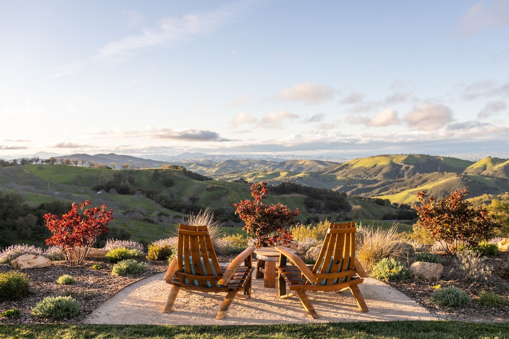 Views from the 2023 Best Wine Tasting Room 🌟 Congratulations to @daouvineyards for winning #1 tasting room worth traveling for in the USA Today Readers' Choice Awards. #TravelPaso #SLOCAL