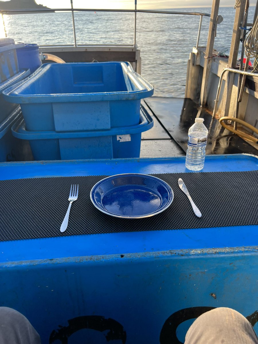 Nathan de Rozarieux tweet media