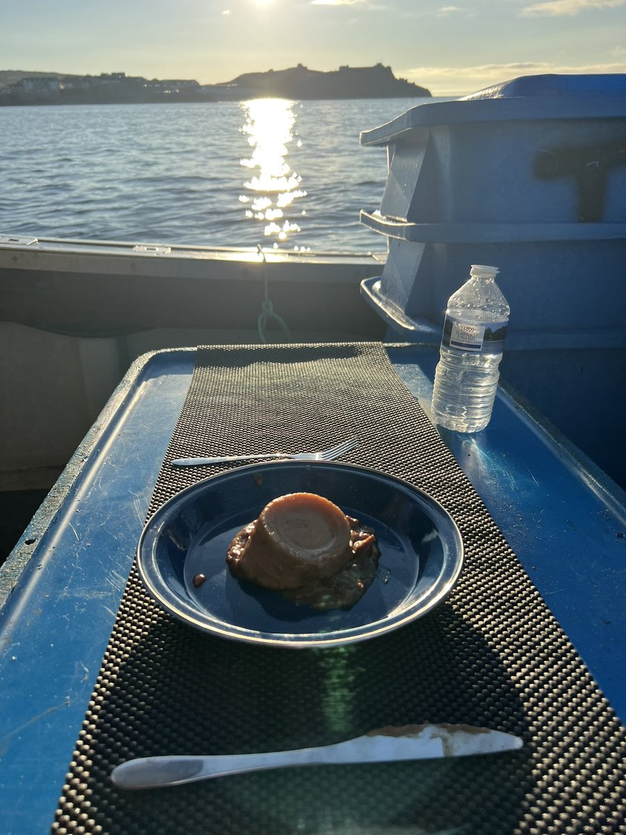 Nathan de Rozarieux tweet media