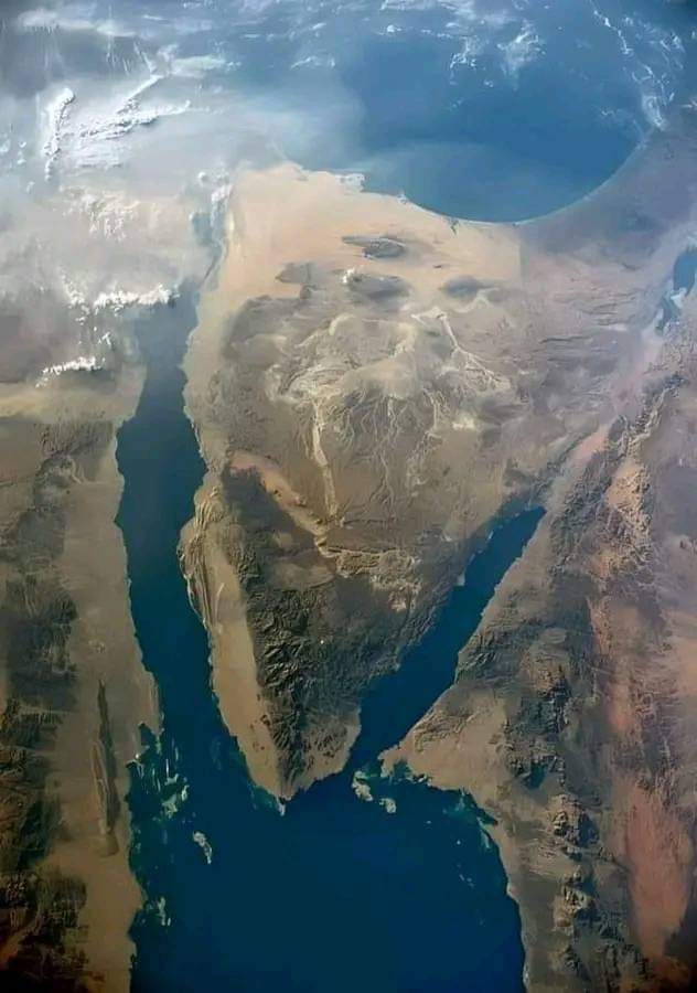 MemaRakan251306's tweet photo. 🫶العاشره بتوقيت القاهره 🕙
عندك تقريباً ١٩٦ دولة فى العالم ..شيل مصر منهم ..هيتبقى ١٩٥ دولة.

🫵عايزك تشاورلى على دولة واحدة منهم بيتعمل ضدها دعوات للثورة وللفوضى مرتين تلاتة فى السنة .

🫵 شاورلى على دولة واحدة منهم بقالها سنين بتتحارب من عدوها جوه وبره وواقفة صامدة لوحدها لا وقعت ولا انهارت ولا نام لحراس أرضها جفن ولا استسلمت ورفعت الراية البيضا .

🫵 هاتلي دولة واحدة منهم بيتخصص ضدها مليارات الدولارات سنويا لزعزعة استقرارها وهدمها ومحاربتها وتشويه صورتها .

🫵 مشفتش دوله بيتعمل ضدها عشرات القنوات الفضائية والصحف و آلاف من المواقع الا��كترونية شغالين ٢٤ ساعة شتيمة فيها وكذب وتضليل واشاعات .

🫵 ولا فيه دولة واحدة منهم الخطر محاوطها شرق وغرب وشمال وجنوب .

أتحداك لو لقيت كل الكلام ده ينطبق على أى دولة إلا مصر ..

ومع ذلك لا جوعنا ولاعطشنا ولا اتشردنا فى مخيمات على الحدود، ولا فيه جنس مخلوق قدر يدوس علينا  وبننام فى سلام وأمان فى حضن ولادنا وأهلنا كل ليلة جوه حيطان بيوتنا ..وكل يوم فى مشاريع جديدة وتنمية وإعمار وتطور ..آه يمكن الحال مش متيسر قوى ويمكن الحياة مش ظريفة شويه 
 ✍️لكن هات لى دولة واحدة فى العالم بتتعرض لكل ده ولسه قادره تقف على رجليها وتكمل وتبنى وتعمر وتأكل وتشرب وتعالج ..وتدافع وتحمى الأرض والعرض 

صدقني مش هتلاقي غيرها  🇪🇬
مصر ام الدنيا بشهاده أهل الدنيا