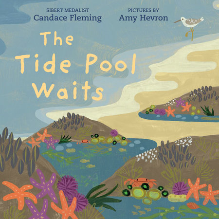 Congratulations! The Tide Pool Waits is nominated for the 2023-24 CT Charter Oak Children’s Book Award @candacemfleming @amyhevron @nealporterbooks #cobca #kidlit @ctcasl