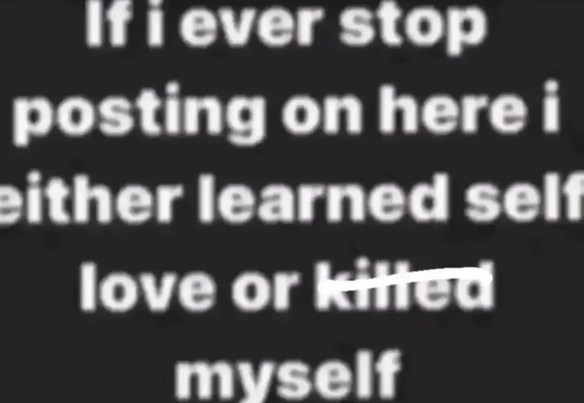 franklyn tweet media