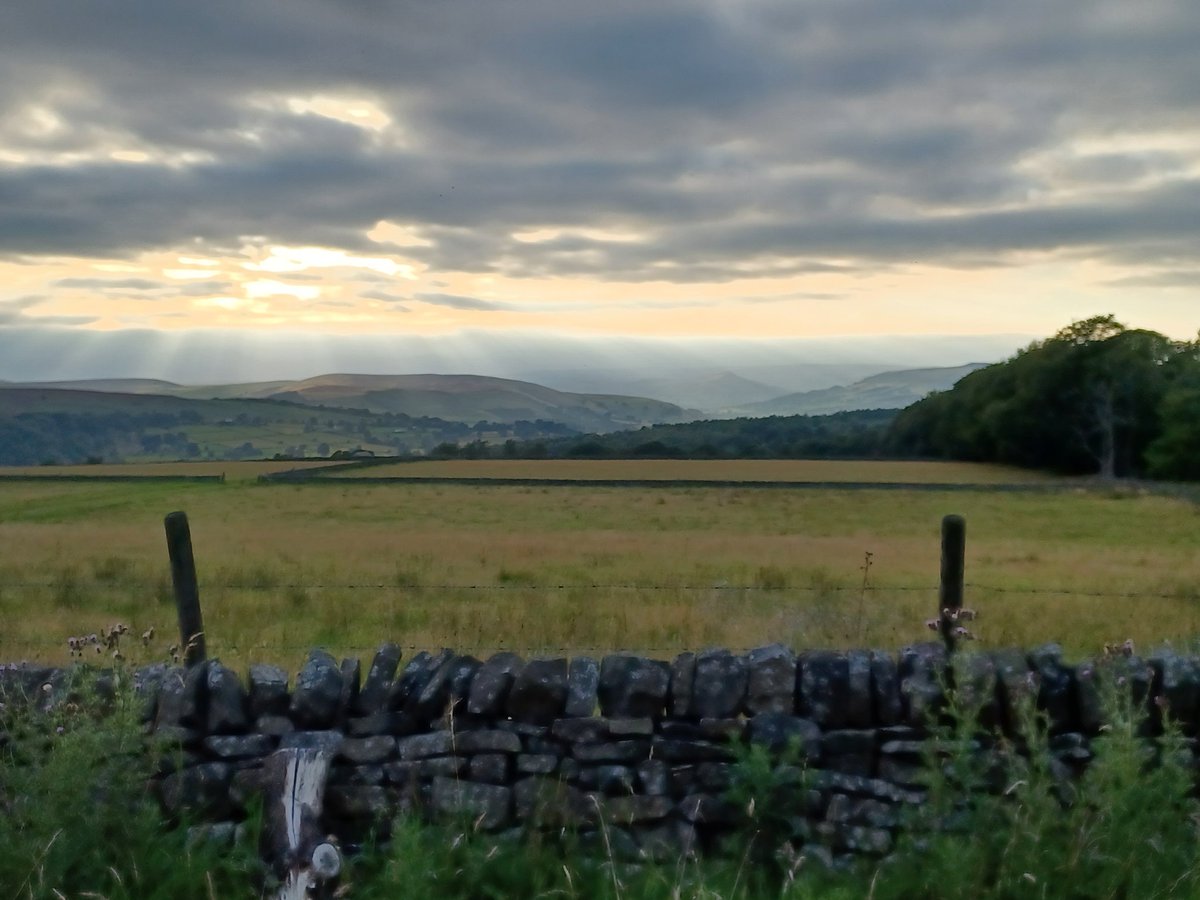 Rob15333645's tweet photo. Scenic run around Longshaw tonight. Hard going , still trying to get my fitness to where it should be. Saw millions of flying ants , its a miracle how they all appear at the same time #runningoutofsteam #phewimboiling #lotsofflyingants #wednesday https://t.co/WmHPmwt4Mb