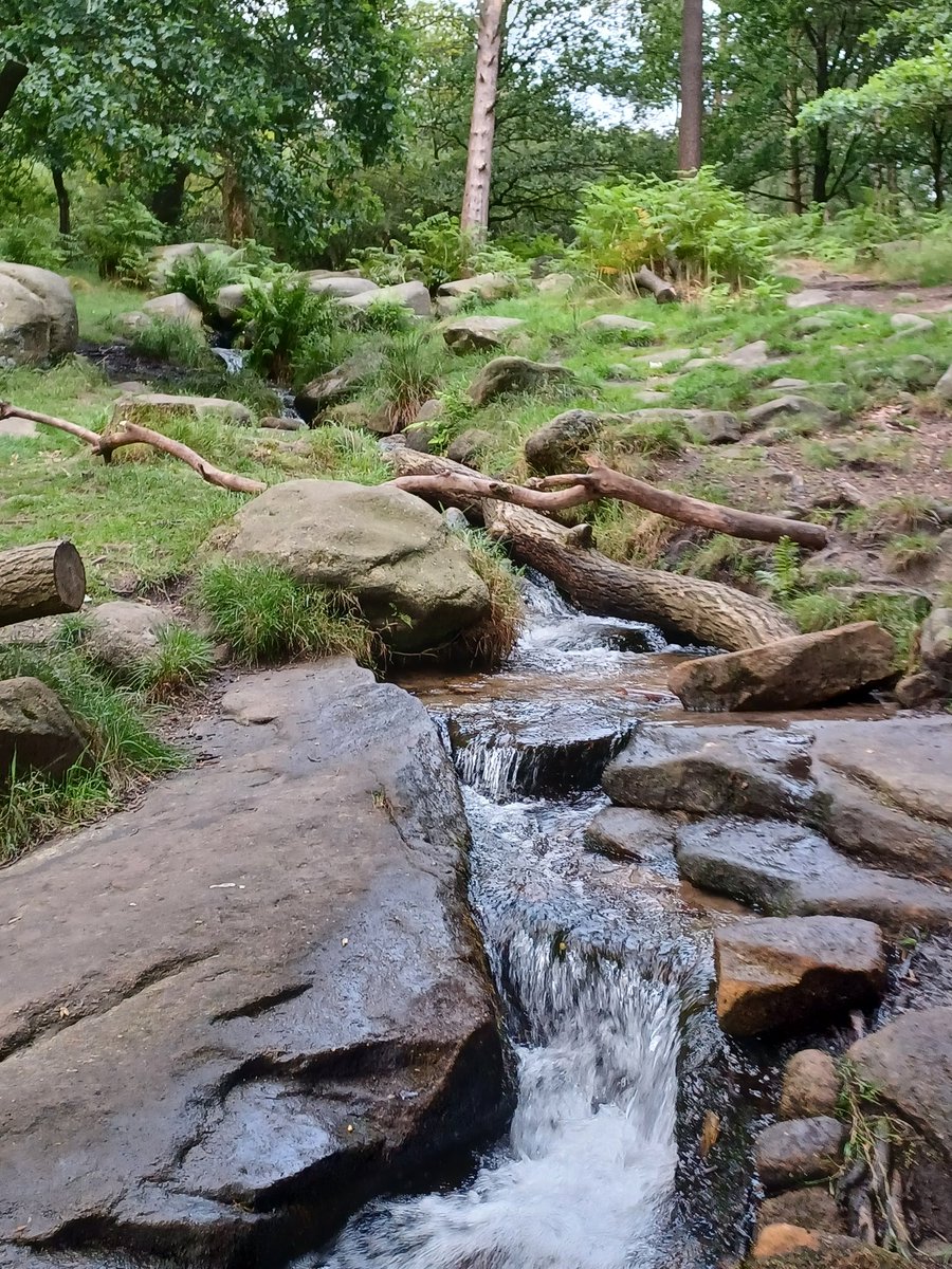 Rob15333645's tweet photo. Scenic run around Longshaw tonight. Hard going , still trying to get my fitness to where it should be. Saw millions of flying ants , its a miracle how they all appear at the same time #runningoutofsteam #phewimboiling #lotsofflyingants #wednesday https://t.co/WmHPmwt4Mb