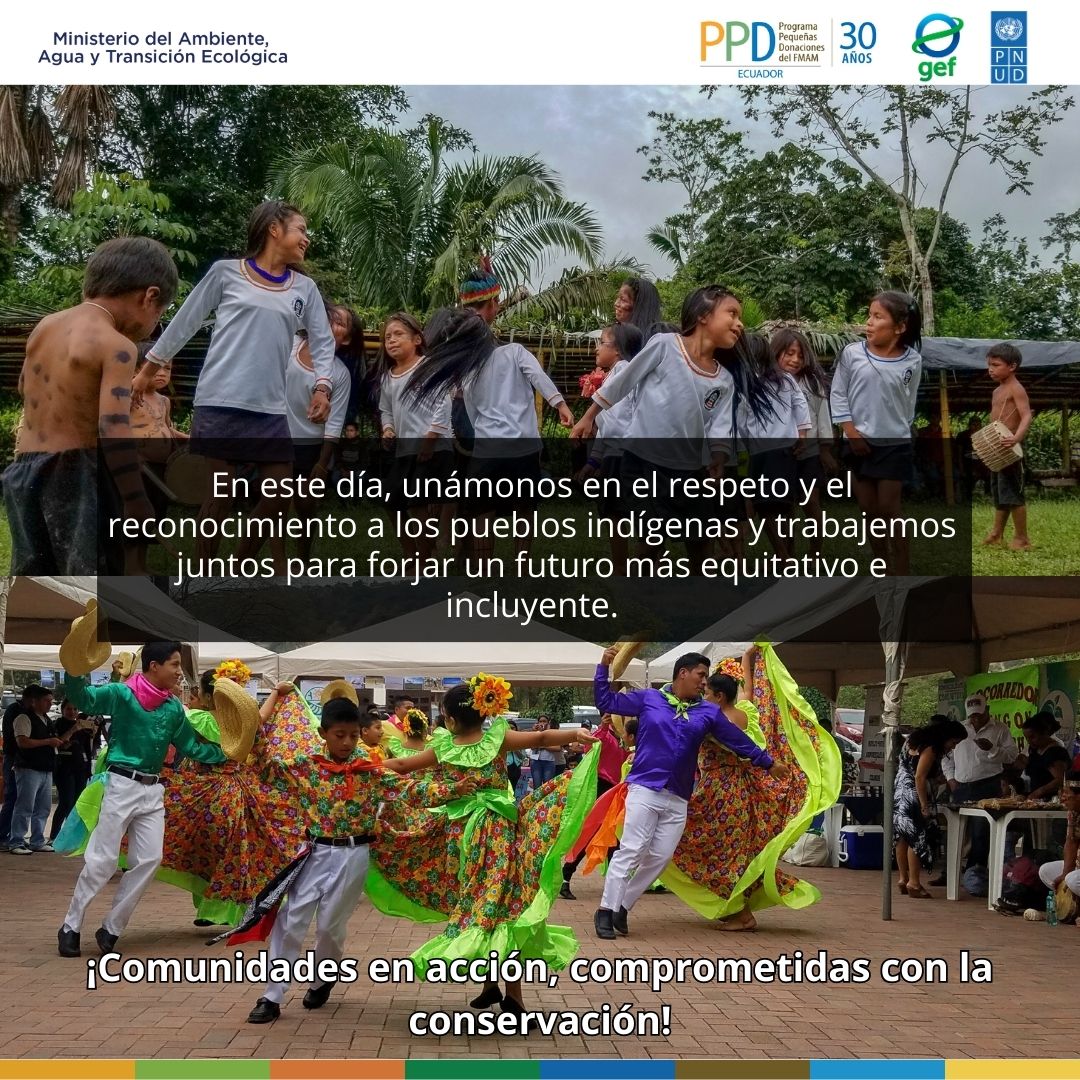🌿En el marco del #DíaDeLosPueblosIndígenas, desde el PPD Ec, deseamos destacar la labor trascendental que desempeñan  en la preservación de la biodiversidad y el cuidado de la naturaleza del Ecuador y del mundo.🌍 

<a href="/PNUDEcuador/">PNUD Ecuador</a> <a href="/GEF_SGP/">Small Grants Programme</a> <a href="/Ambiente_Ec/">ambiente_ec</a> <a href="/CODESPA/">CODESPA</a> <a href="/ciespal/">CIESPAL</a>
