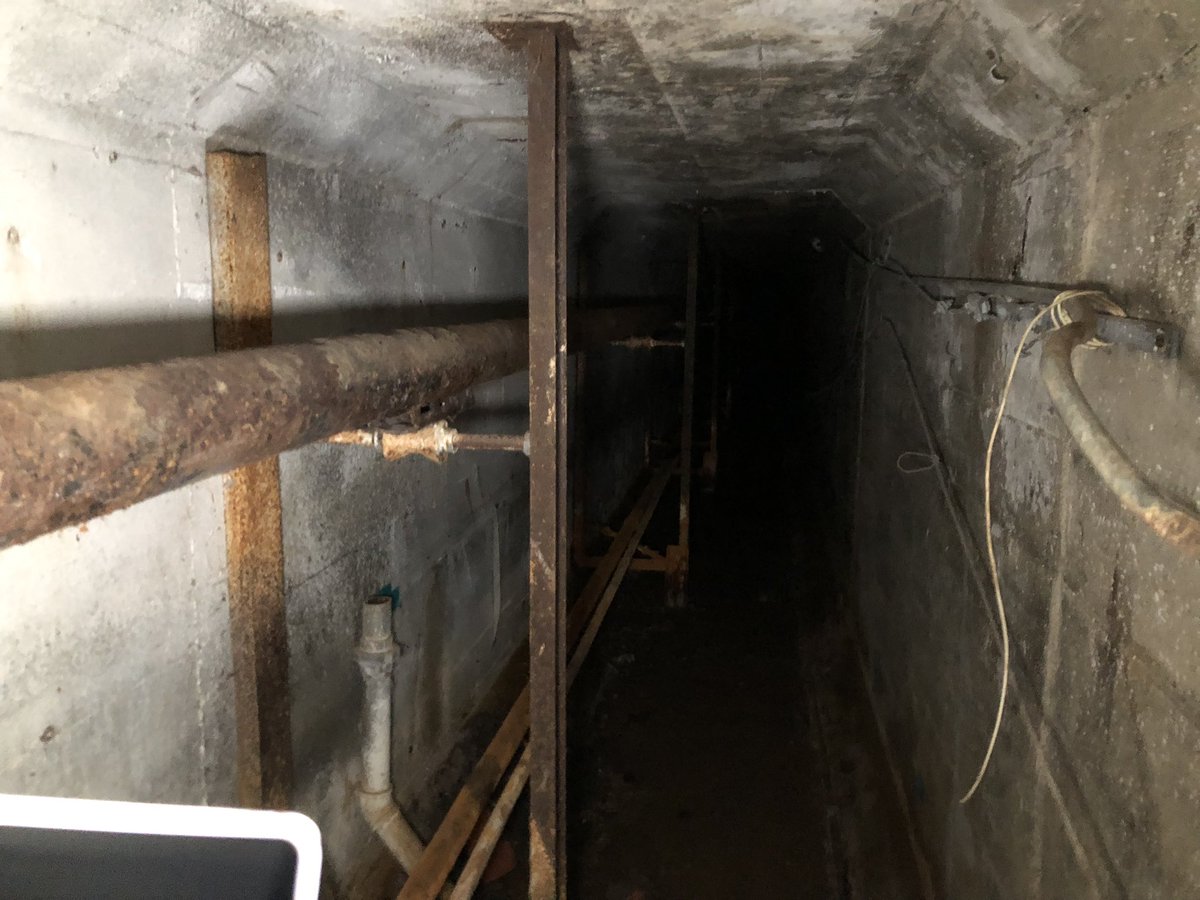 ExploresRetail's tweet image. Haven’t posted anything in a long time. Yesterday, I explored a creepy-looking tunnel alone in the darkness. This is located at the old Fairview Training Center site in Salem, Oregon. Rumors have said that dangerous patients and the dead ones were carried through this corridor…