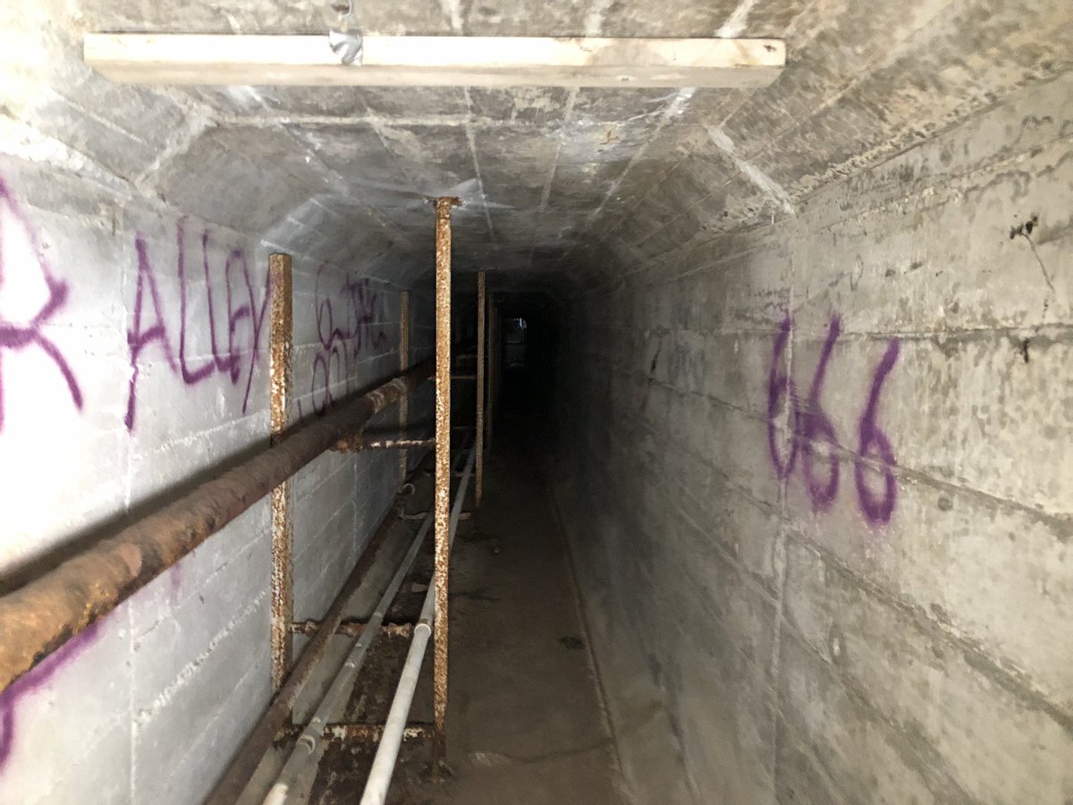 ExploresRetail's tweet image. Haven’t posted anything in a long time. Yesterday, I explored a creepy-looking tunnel alone in the darkness. This is located at the old Fairview Training Center site in Salem, Oregon. Rumors have said that dangerous patients and the dead ones were carried through this corridor…