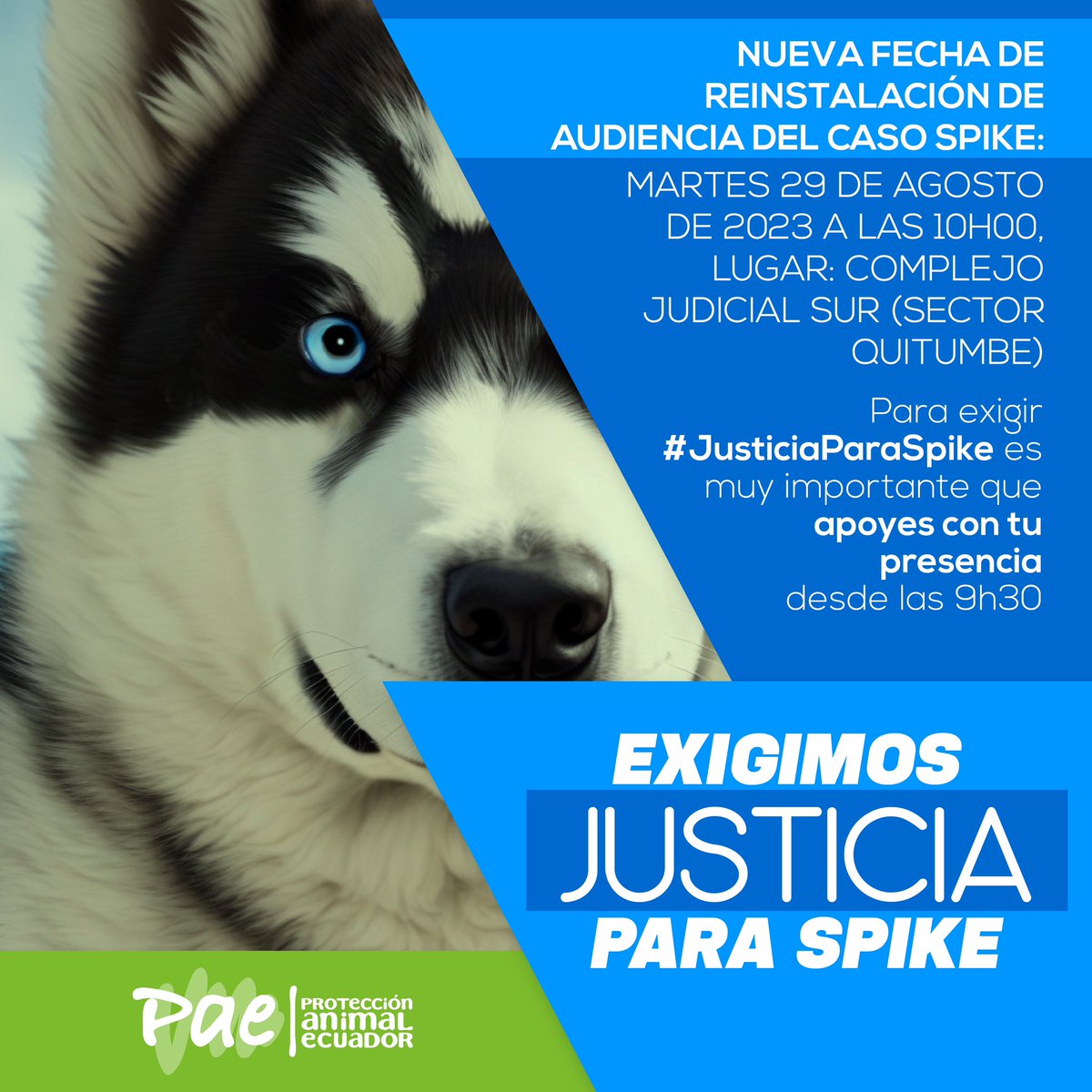 #NoticiasPAE La nueva fecha para reinstalación de audiencia del caso Spike / Causa No. 17297-2022-01934 será para el Martes 29 de agosto de 2023 a las 10h00 en el Complejo Judicial Sur (Sector Quitumbe) Quito.
🔴Pedimos se haga justicia y se dé la pena máxima #JusticiaParaSpike