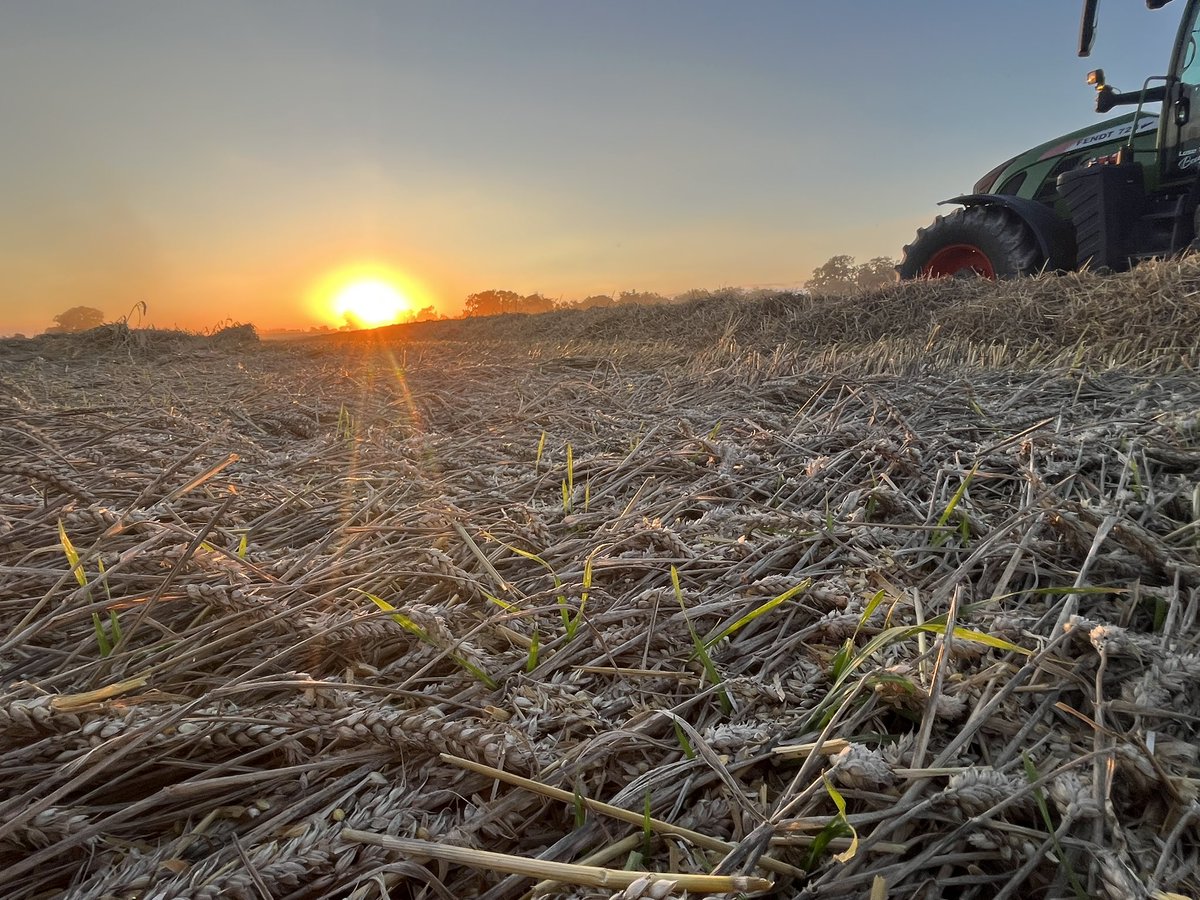 JonnyStorey3's tweet photo. 2024 Wheat crop of to a cracking start😫😫 #harvest23 https://t.co/dvWZgm13p7